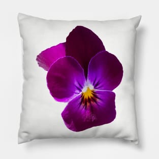 Purple Violet Flower Pillow