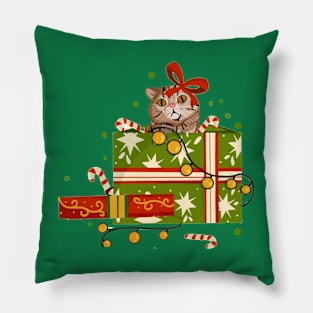 Christmas Cat surprise Pillow