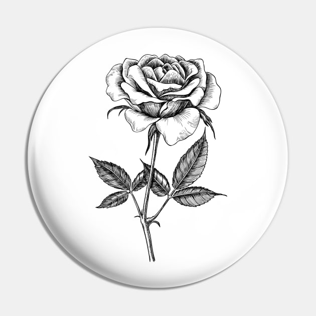 Rose drawing Pin by katerinamk