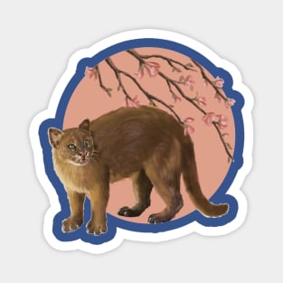 Jaguarundi Magnet