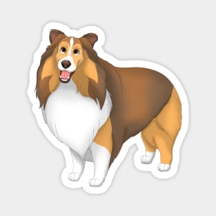 Sable Shetland Sheepdog Dog Sheltie Magnet