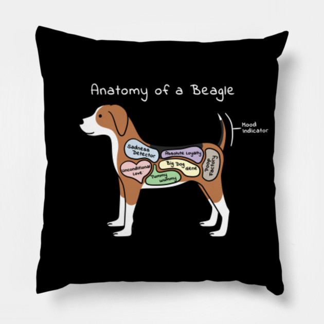 Beagle Anatomy Chart