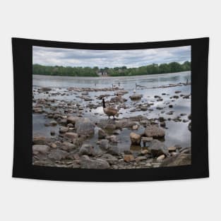 Duck Tapestry