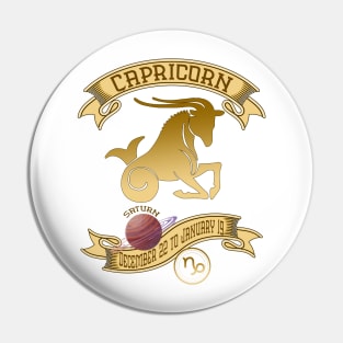 Capricorn December 22 to January 19 Vintage Pin