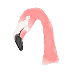 Flamingo T-Shirt