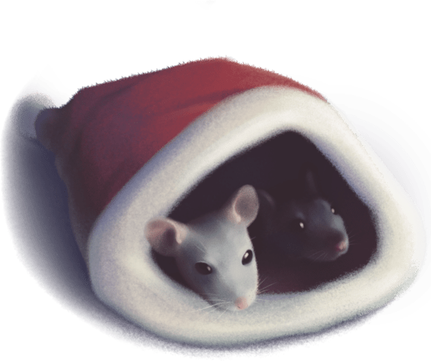 Cute christmas rats Kids T-Shirt by Amethrain
