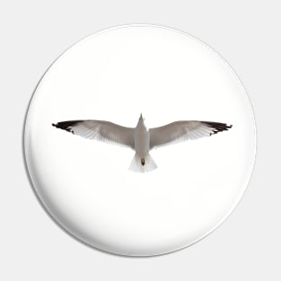 Seagull in Flight Pin