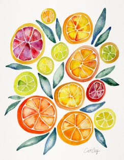 Citrus Slices Magnet