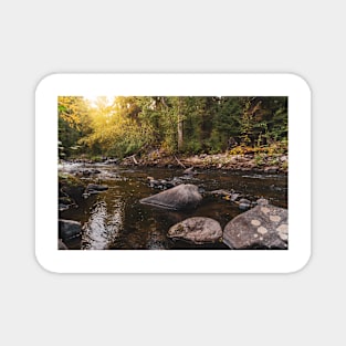 Glowing Sunshine on Creek and Autumn Forest Magnet