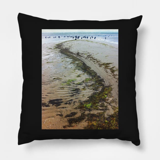 Black Swans Pillow by rozmcq