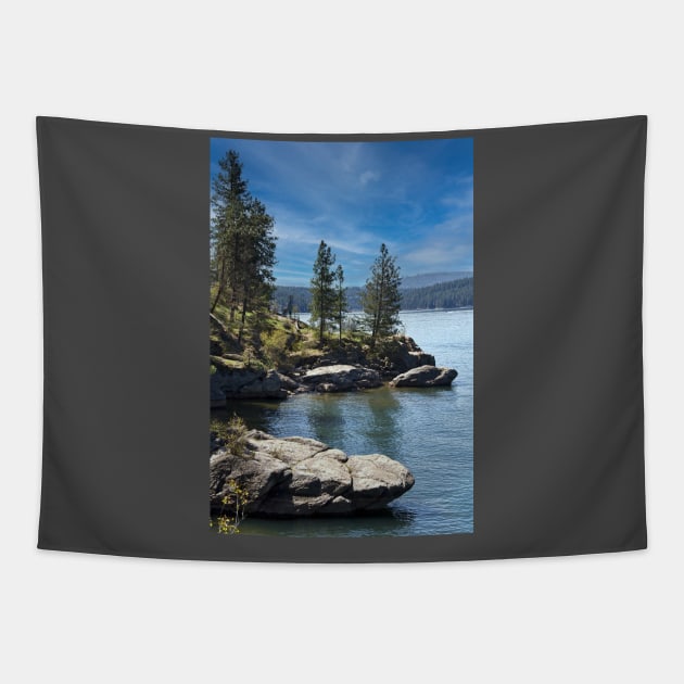 Rocky Shoreline Tapestry by KirtTisdale