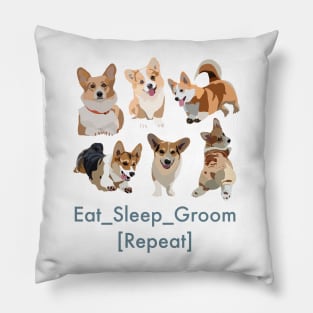 Eat Sleep Groom Repeat Pillow