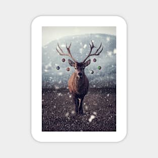 Reindeer Christmas Magnet