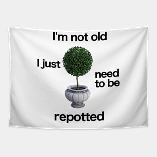 I'm not old. I just need to be repotted. Tapestry