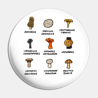 Illustrated Types of Wild Fungi Pin