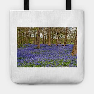 Bluebell Woods Greys Court Oxfordshire UK Tote