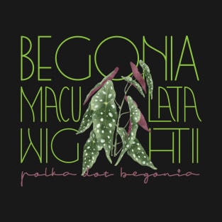 Polka Dot Begonia Maculata Plant T-Shirt