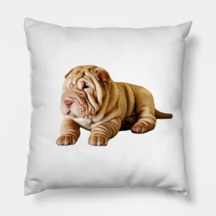 Shar Pei Cute Puppy Dog Pillow