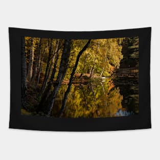 'Autumn Magic 3', Dunmore Loch, Pitlochry Tapestry