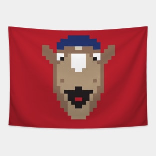 (TEX) Baseball Mascot Tapestry