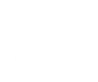 I Collect Spores, Molds, and Fungus Magnet