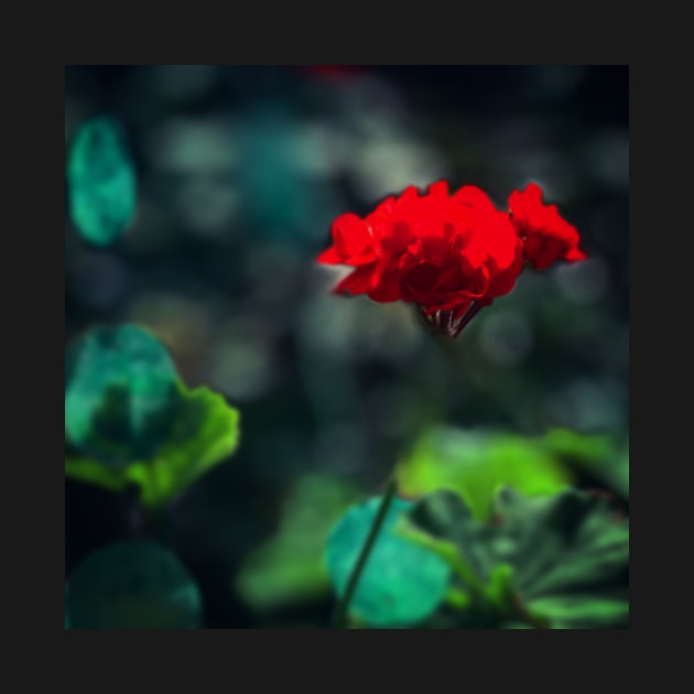 Red Geranium by YollieBeeArt