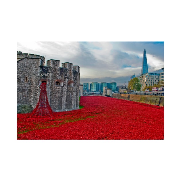 Red Poppies At The Tower Of London by AndyEvansPhotos