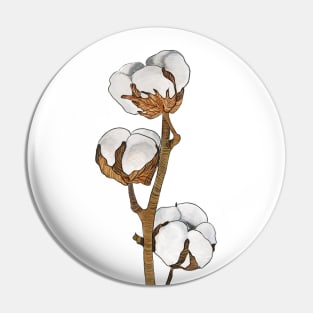 Cotton illustration plant art minimalism tender Pin