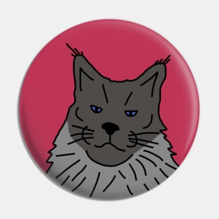 Maine Coon Cat Portrait with Background in Viva Magenta Pin