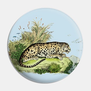 Leopard Vintage Wildlife Illustration Pin