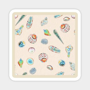 Seashells gallore repeating pattern Magnet