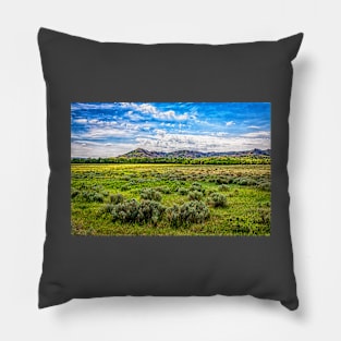 Theodore Roosevelt National Park North Unit Pillow