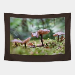 Delicate pink mushrooms on forest floor. Tapestry