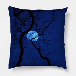 Bare Tree Branches and Full Moon Pillow