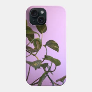 Money plant photography Phone Case