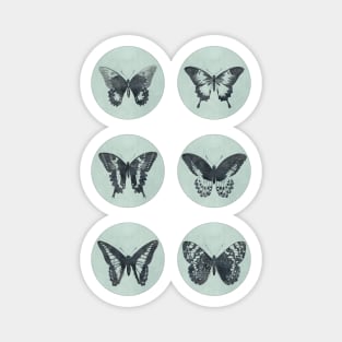 Vintage BUTTERFLIES mega sticker pack blue retro sketch edition Magnet