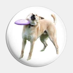 Frisbee Doge Pin