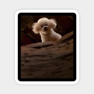 THE SILENCE OF THE LAMBS DOG PRECIOUS Magnet