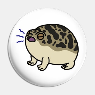 Angy Desert Frog Pin