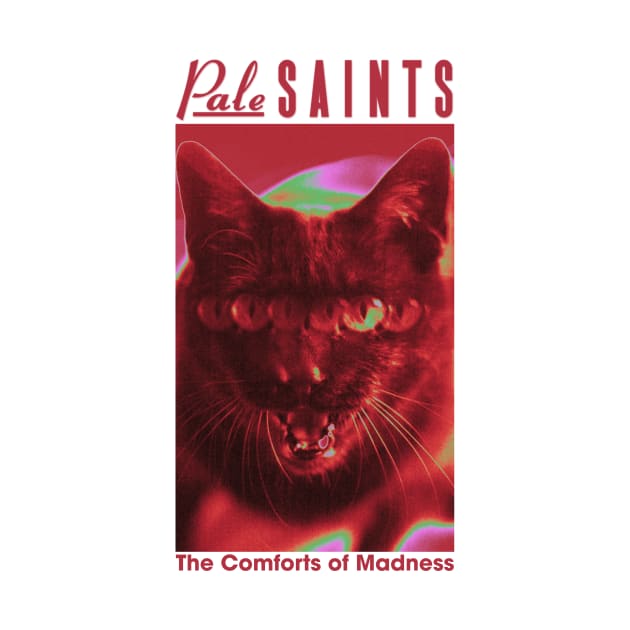Pale Saints The Comforts of Madness by Moderate Rock