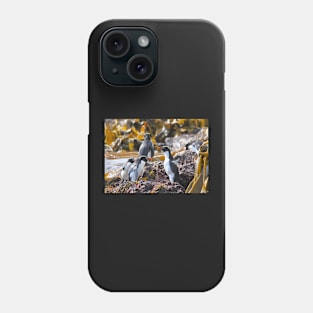 Snares Crested Penguins Phone Case