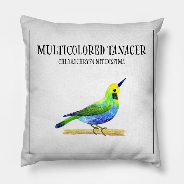 Birdies IV: Multicolored Tanager Pillow by Aidi Riera