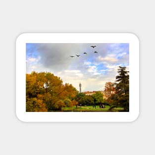 Autumn Trees Regent's Park London England Magnet