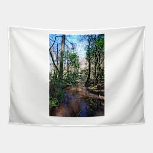 Crystal Clear Tapestry