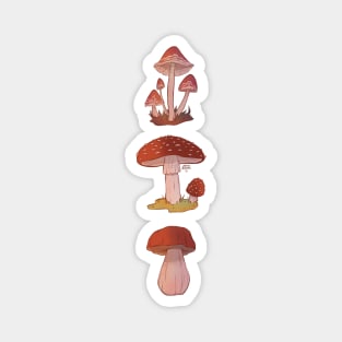 Three mushrooms Magnet