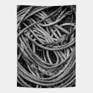Coiled Rope Tapestry