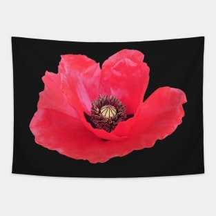 Poppy Tapestry