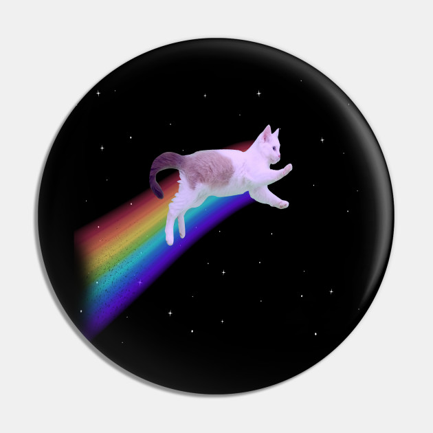 Nyan Rainbow Space Cat Cats Pin Teepublic