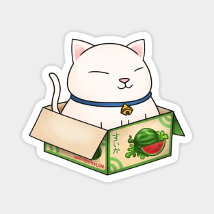 White Chubby Cat in Watermelon Box Magnet