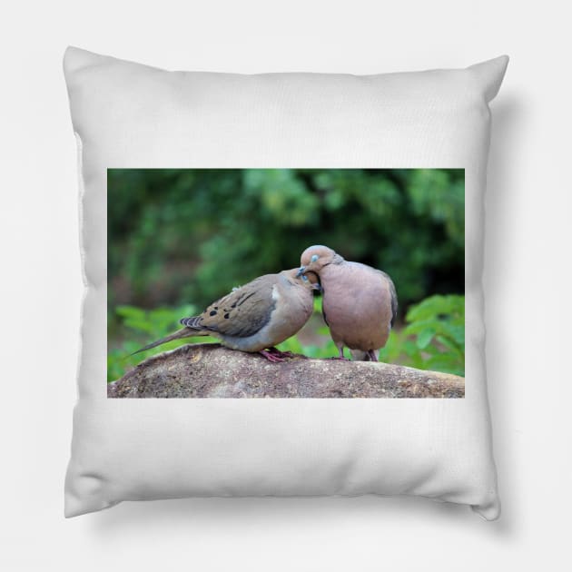 Two Turtle Doves Pillow by Cynthia48